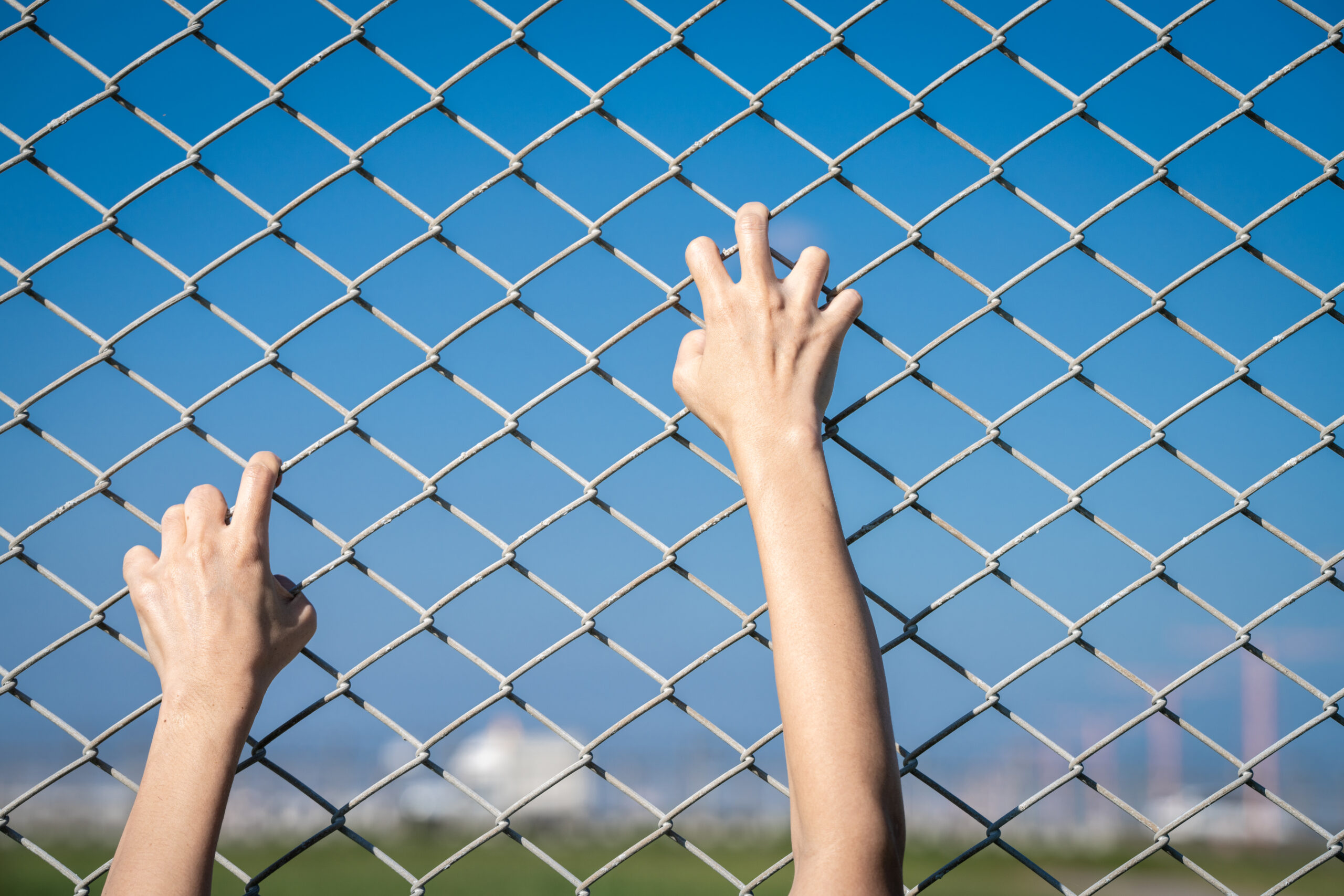 PEST CONTROL SERVICES