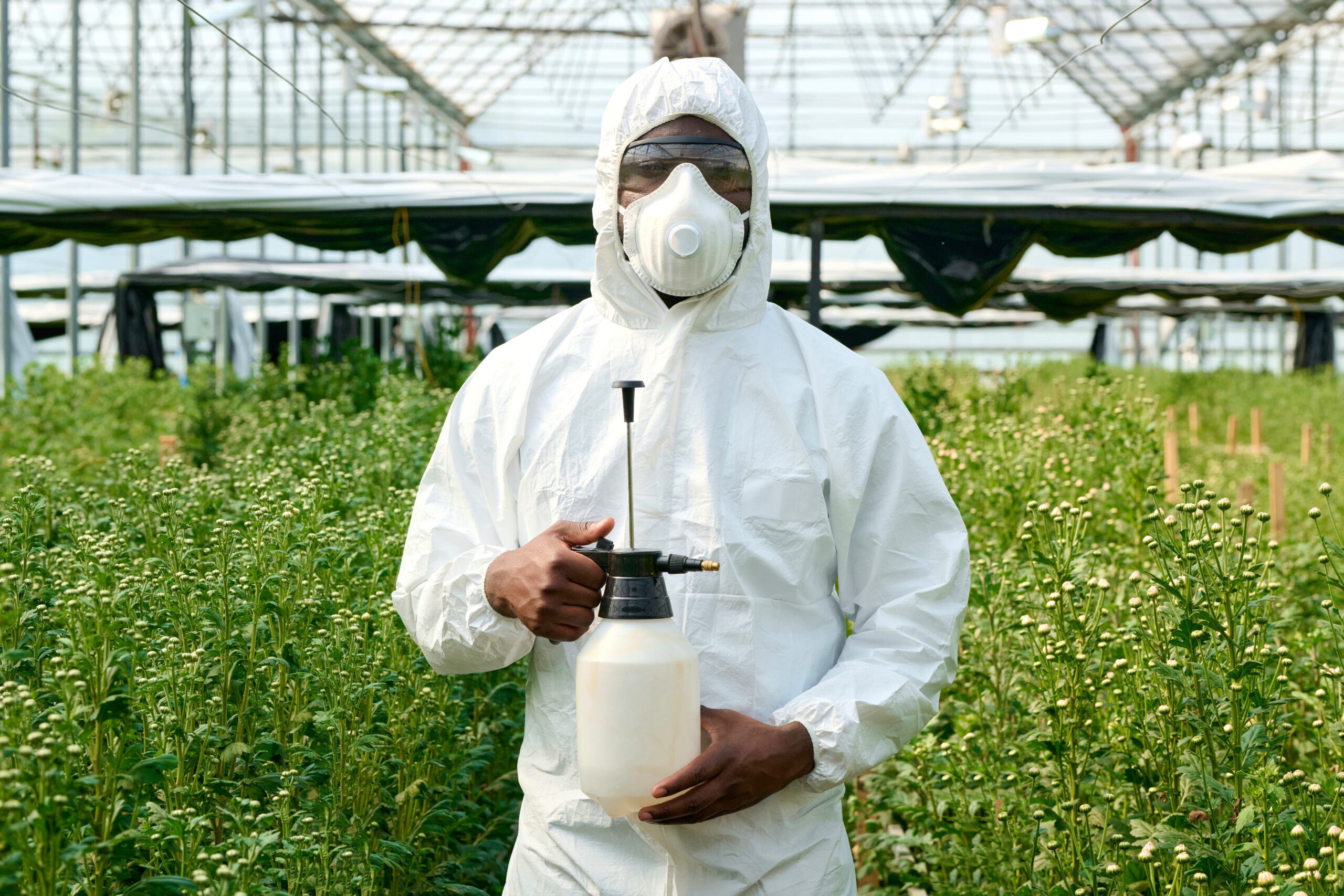 CONSULTATION SERVICES