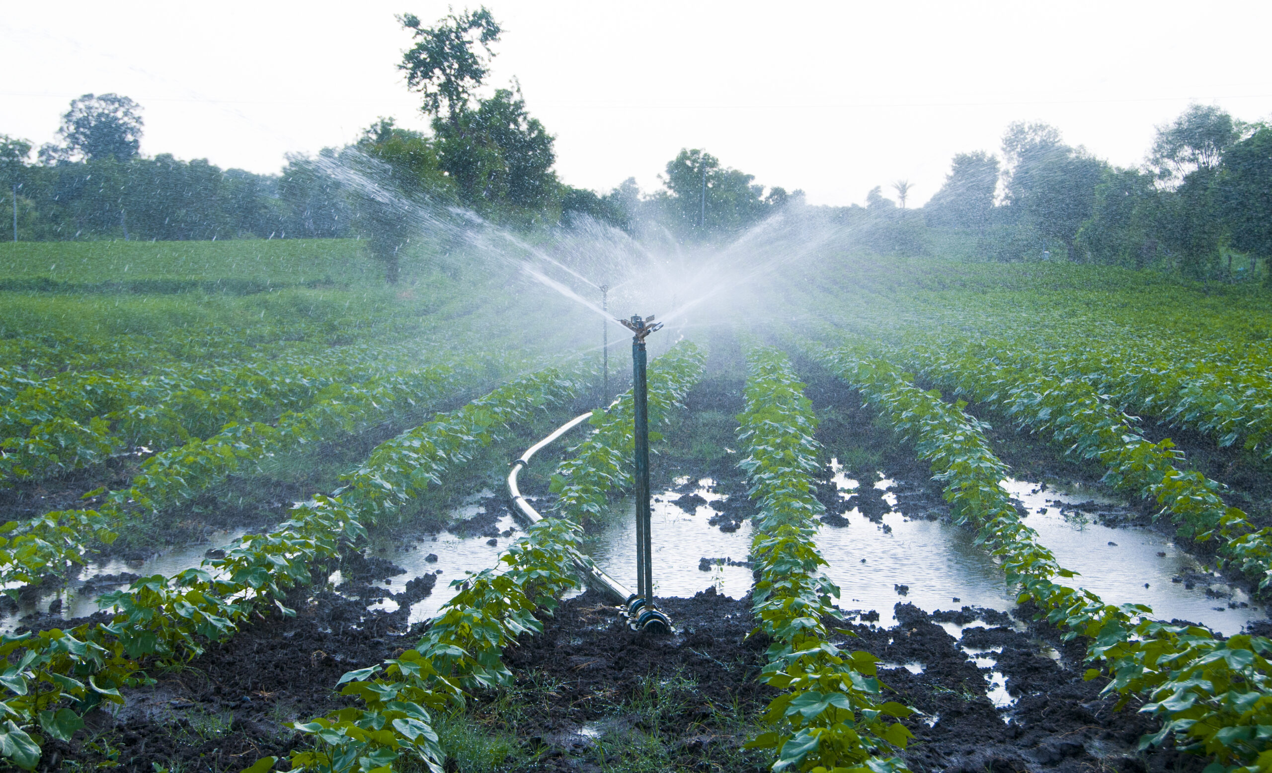 HARD-SCAPING SERVICES